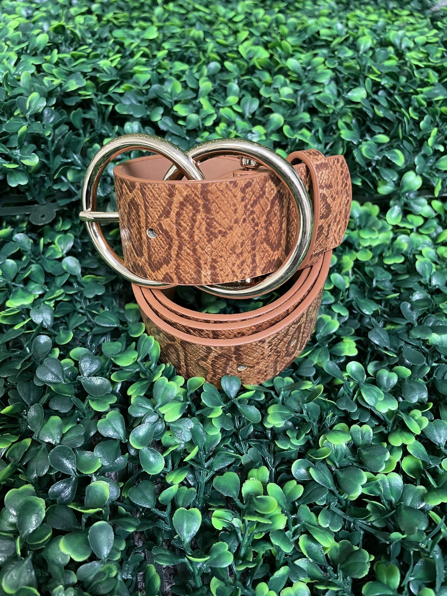 1 1/2 inch Snake Print Cognac Belt with Double Circle Rose Gold